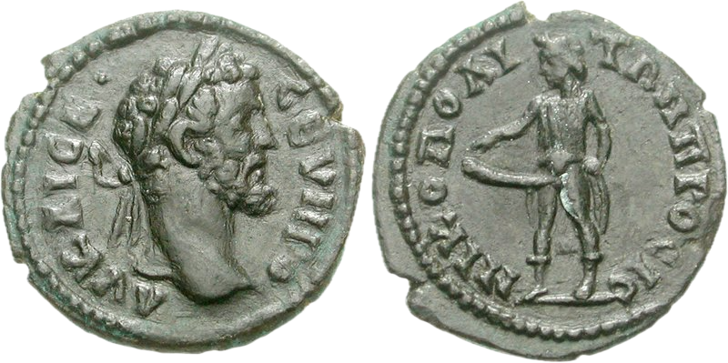 Priapus mince